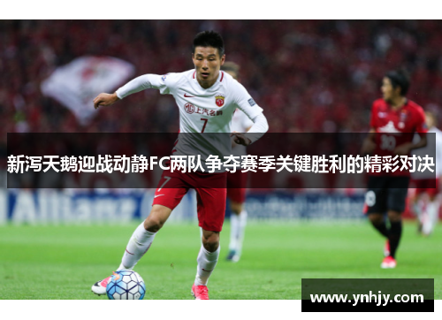 新泻天鹅迎战动静FC两队争夺赛季关键胜利的精彩对决